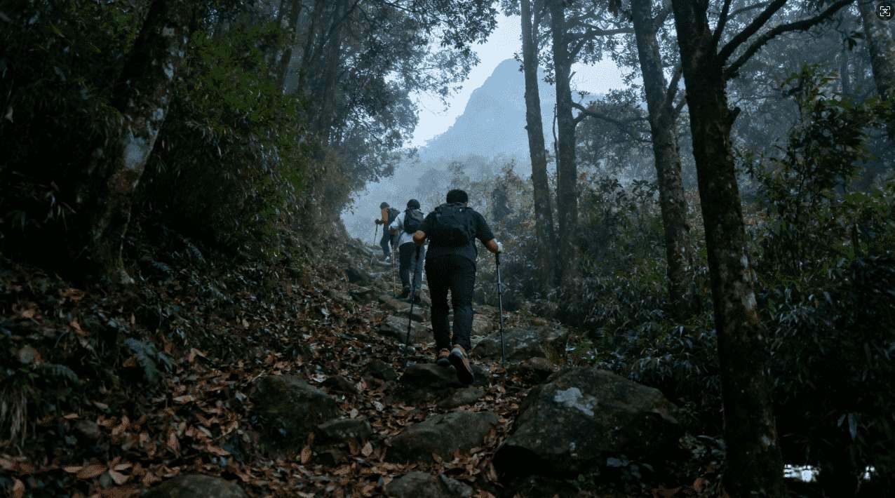 旋风加速器频繁掉线的原因及应对措施